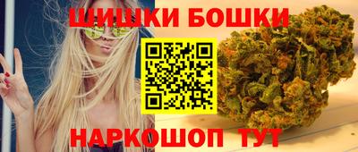 тгк Можга