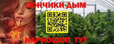 тгк Можга