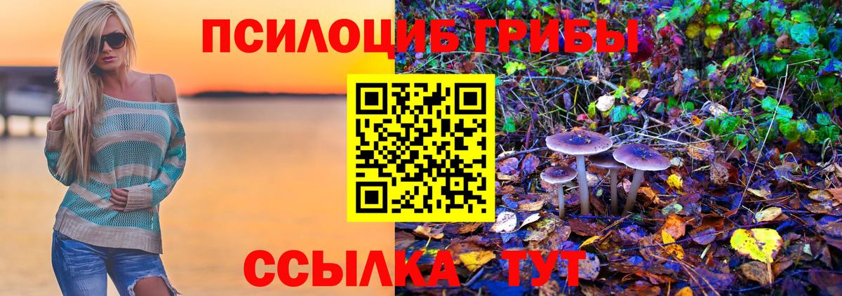 Галлюциногенные грибы MAGIC MUSHROOMS  Галлюциногенные грибы Cubensis  Усолье-Сибирское  цены наркотик  Вход с VPN 